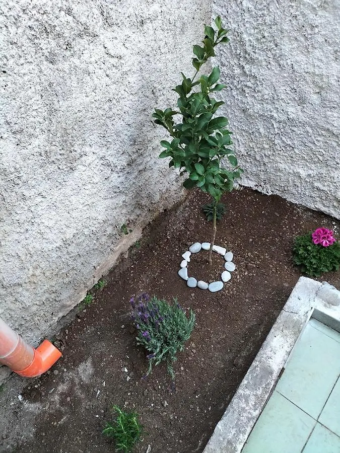 Hébergement de vacances Villa La Loggia 34 à Palerme